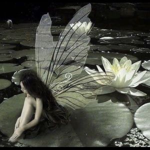 Meet your Posher, Ana